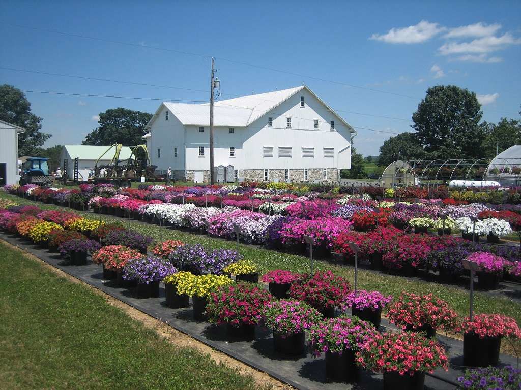 Penn State research center flowers